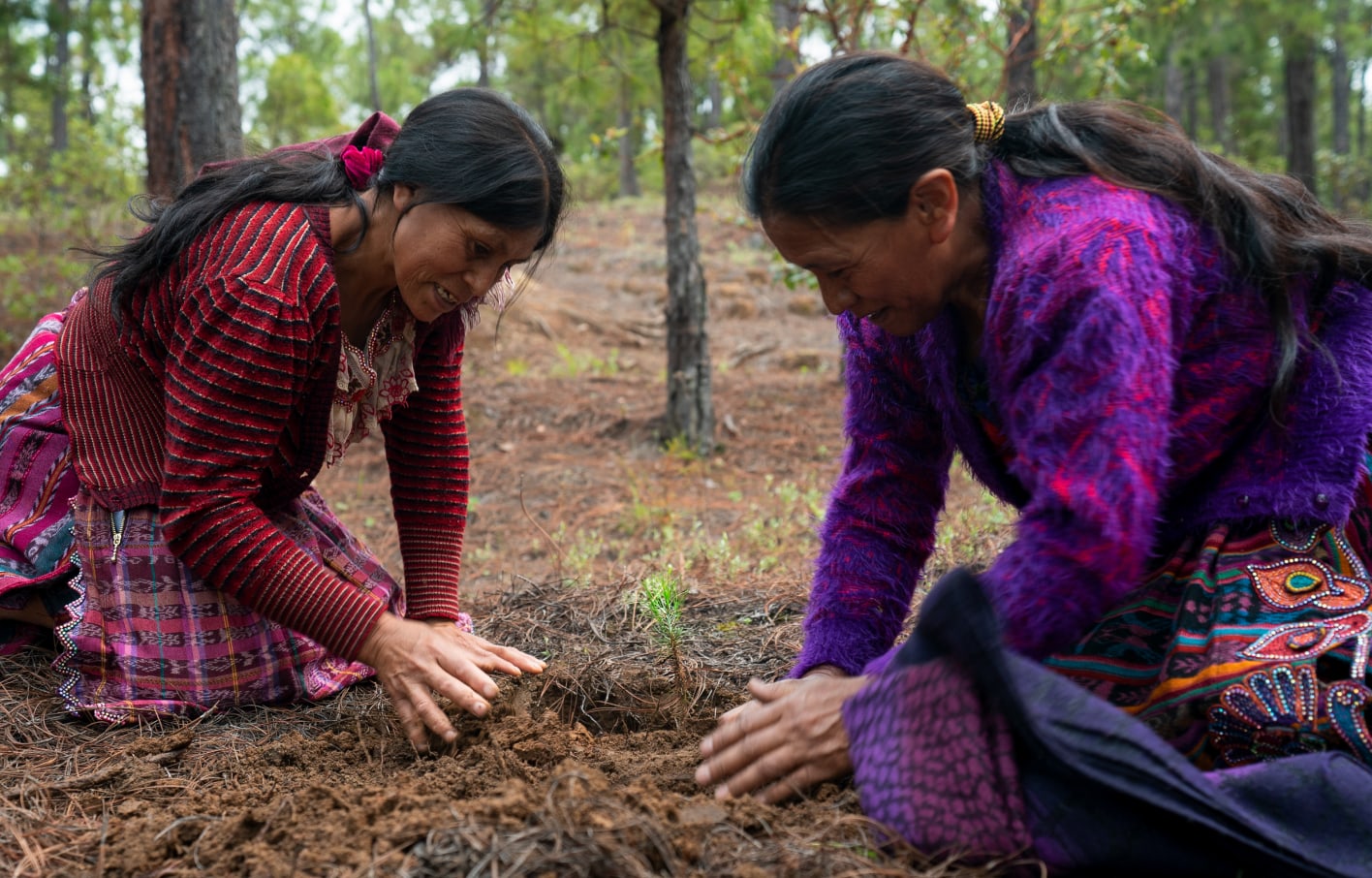 woman planting